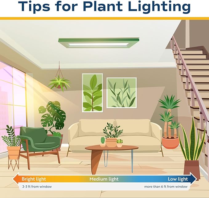 Costa Farms Parlor Palm Live Plant in Plastic Pot, Air Purifying Indoor Houseplant, Perfect for Home, Room, or Office Decor, Great House Warming or Birthday Gift, 14-18 Inches Tall