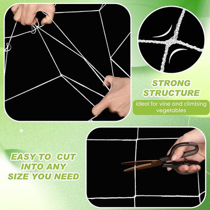 Berlune 5 x 1000 ft Trellis Netting Roll Soft Mesh Nylon Heavy Duty Garden Trellis Netting Bulk for Climbing Plants, Grape Racks, Growing Support Bean, Pea, Tomatoes