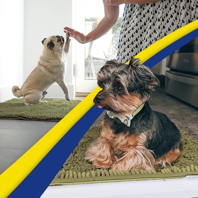 Muddy Mat® | Super Water Absorbent Door Mat Indoor, Microfiber Quick Dry Chenille Entryway Rug, Slip Resistant Front Door Mat, Indoor Mats for Entryway, Machine Washable Pet Rug, Sage 48" x 60"