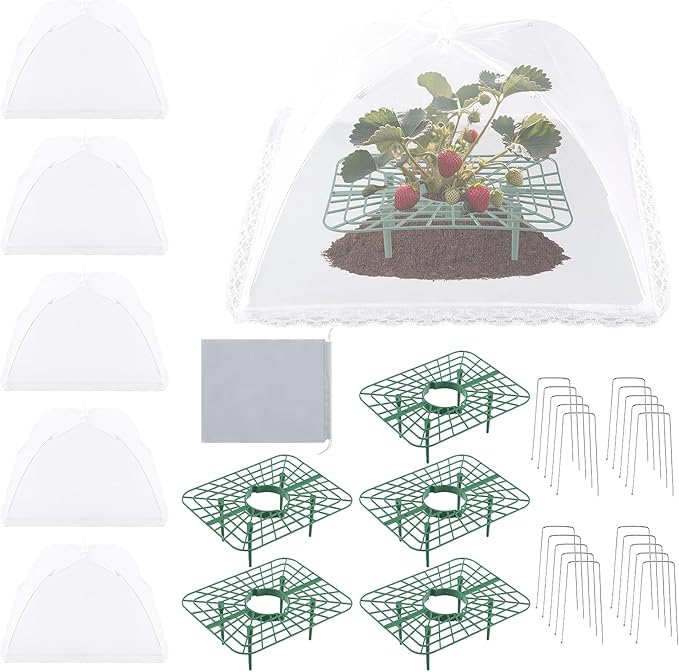 5 Sets Strawberry Supports with Plant Protectors Set, Strawberry Growing Racks Sets with Iron Plant Nails and Storage Bag Strawberry Planting Stand for Garden Vegetables