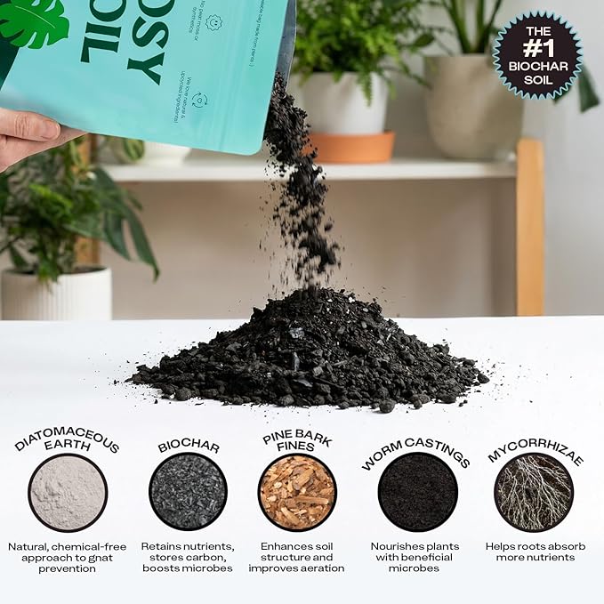 Rosy Soil Houseplant Potting Soil, Organic Indoor Potting Mix with Biochar and Worm Castings for Monstera, Pothos, Tropical Indoor Plants - Peat Free - 4qt