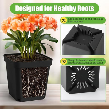 Square Nursery Pots 5.5 Inch, Plastic Plant Pot with Drainage Holes, 30 Pcs Reusable Seedling Starter Pots Garden Flower Pots Planters for Indoor Plants, Transplanting, Succulents, Cuttings