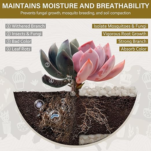 NUPICK 6 lbs Pebbles for Indoor Plants, 3/8 Inch Pea Gravel for Fish Tank, Polished Decorative Rocks for Succulent, Natural River Stones for Vases, Cactus, Landscaping, Bird Bath, Aquarium, White