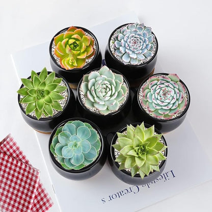 SHECIPIN 2 Pack Succulent Pots, 2.5 Inch Mini Ceramic Pots for Flower or Cactus Plants with Drainage Hole,Plants Not Included (Black)