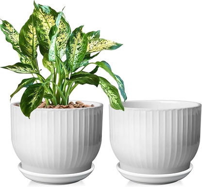 Ceramic Plant Pots,6.7 Inch,Set of 2,Planters with Drainage Hole and Saucer,Flower pots for Indoor Plants,Modern Design(Pure White,2 Pack)