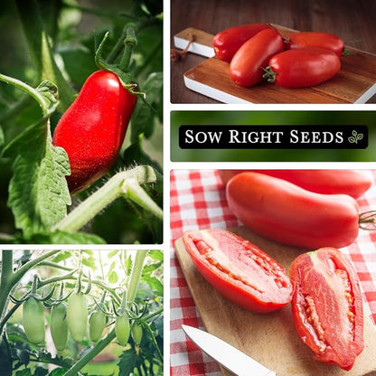 Sow Right Seeds - San Marzano Tomato Seeds for Planting - Non-GMO Heirloom Packet with Instructions to Plant a Home Vegetable Garden - Italian Classic Red Variety - Great for Sauce and Canning (4)