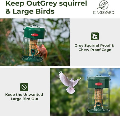 Kingsyard Upgraded Squirrel Proof Caged Bird Feeder for Outdoor Hanging - Additional Storage Tube Bird Feeder with 4 Feeding Ports & Perches, Easy to Clean & Refill. Green