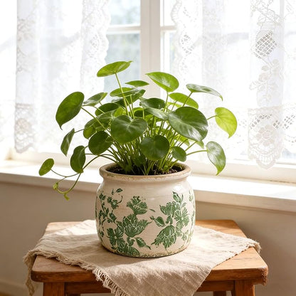 Flower Pots Planters for Indoor Plants Ceramic Plant Pots with Drainage 6.1 Inch Vintage Ceramic Pots for Plants Outdoor Home Garden Decor, Crackled Green Peony