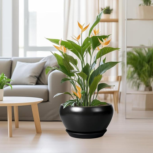 Ceramic Pot for Plants Large - 13 Inch Plant Pot Indoor with Drainage Hole and Saucer Round Planter Decorative Planter Outdoor Flower Pot for House Decor Balcony Black