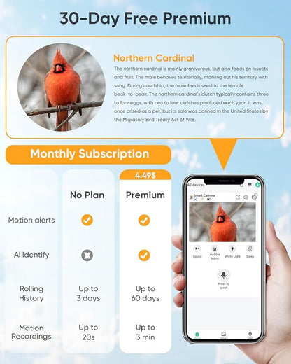 Bird Feeder with Camera Solar Powered : Smart Camera Bird Feeder 2K Live Steam for Outdoor, 5MP Photos, AI Identify Auto Capture Videos, 1.8L Large Capacity, Gifts for Birdlover Mom Dad