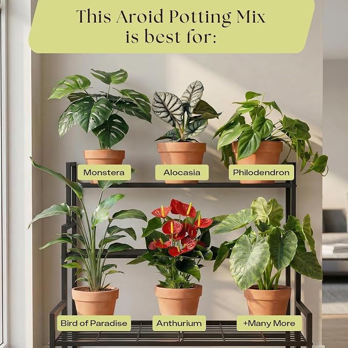 Rosy Soil Aroid Soil Mix - Chunky Biochar Potting Mix for Monstera, Philodendron, Anthurium & Tropical Plants - Peat-Free, Microbially Active, Superior Aeration & Drainage for Aroid Plants - 4 Quarts