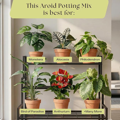 Rosy Soil Aroid Soil Mix - Chunky Biochar Potting Mix for Monstera, Philodendron, Anthurium & Tropical Plants - Peat-Free, Microbially Active, Superior Aeration & Drainage for Aroid Plants - 4 Quarts