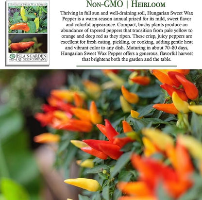 Hungarian Sweet Wax Pepper Seeds (Capsicum annuum) – 100+ Heirloom Non-GMO Seeds by Isla's Garden Seeds, Mild and Flavorful Peppers, Ideal for Fresh Eating, Pickling & Cooking, Great Gardening Gift