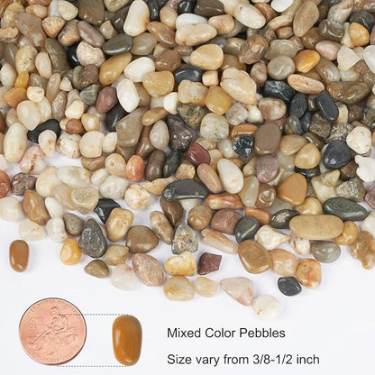 GASPRO 5 lb Decorative Pebbles for Plants, 3/8 Inch Mixed Color Rocks, Small Stones for Indoor Planters, Succulents & Vase Filler, Pea Gravel for Aquariums