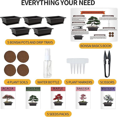 Meekear 5 Bonsai Tree Kit Complete Plant Growing Tools, Grow in Pot Indoor Bonsai Tree Starter Kit, Great Home Gardening Potted Plants DIY Gift for Adults