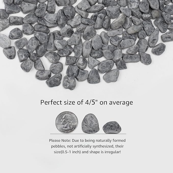 LOIOOJ Black Natural River Rocks, 0.5-1 Inch Decorative Stones for Plants, Garden, and Landscaping – 10LB, Ideal for Walkways, Vases, Crafting, Garden Pathways, and Outdoor Landscaping