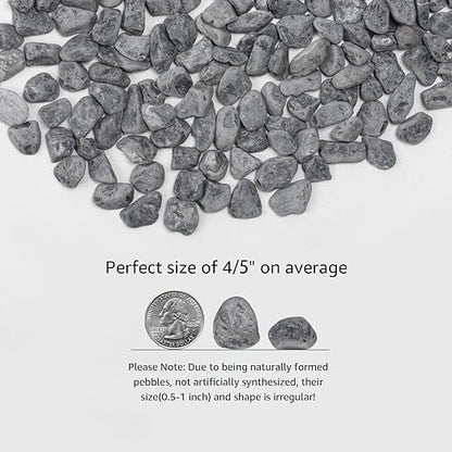 LOIOOJ Black Natural River Rocks, 0.5-1 Inch Decorative Stones for Plants, Garden, and Landscaping – 10LB, Ideal for Walkways, Vases, Crafting, Garden Pathways, and Outdoor Landscaping