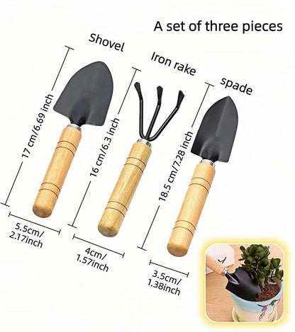 3-Piece Mini Garden Tool Set, Indoor Plant Care Kit with Wood Handle, Black Iron Tools for Potting, Transplanting and Cultivating, Compact Succulent and Houseplant Tools,Small Shovel, Trowel, Rake