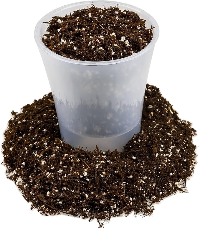 Gardenera Fern + Perlite Soil Mix for Repotting and Planting Succulents and Cactuses - 4 Quart Bag