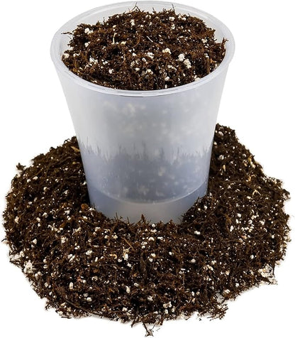 Gardenera Fern + Perlite Soil Mix for Repotting and Planting Succulents and Cactuses - 5 Quart Bag