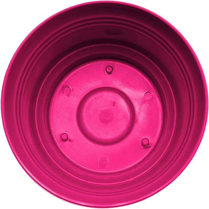 Bloem Saturn 5" Fuchsia Round Resin Planter Pot with Snap-in Saucer for Indoor and Outdoor Gardening
