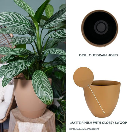 The HC Companies 13 Inch Topanga Decorative Round Planter - Lightweight Premium Resin Plant Pot with a Ceramic Look for Indoor Outdoor Use, Taupe Swoop