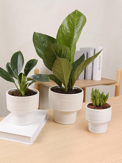 INGOFIN Ceramic Planter Pot Set of 3, 4/5/6 Inch Indoor Plant Decorative Cachepot for Pothos & Succulents, No Drainage Hole, Modern Tabletop Desk Display Pot for Home Decor, Pockmarks White