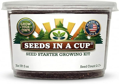 Fig Tree | Seeds In A Cup® - Fig Seed Starter Grow Kit | Easy to use | Educational | Great Gift Idea | Grow Your Own |