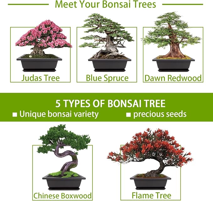 Bonsai Tree Kit with Complete Growing Tools, Grow in Pot Indoor Bonsai Tree Starter Kit, Great Home Gardening DIY Gift for Adult