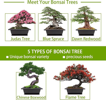 Bonsai Tree Kit with Complete Growing Tools, Grow in Pot Indoor Bonsai Tree Starter Kit, Great Home Gardening DIY Gift for Adult