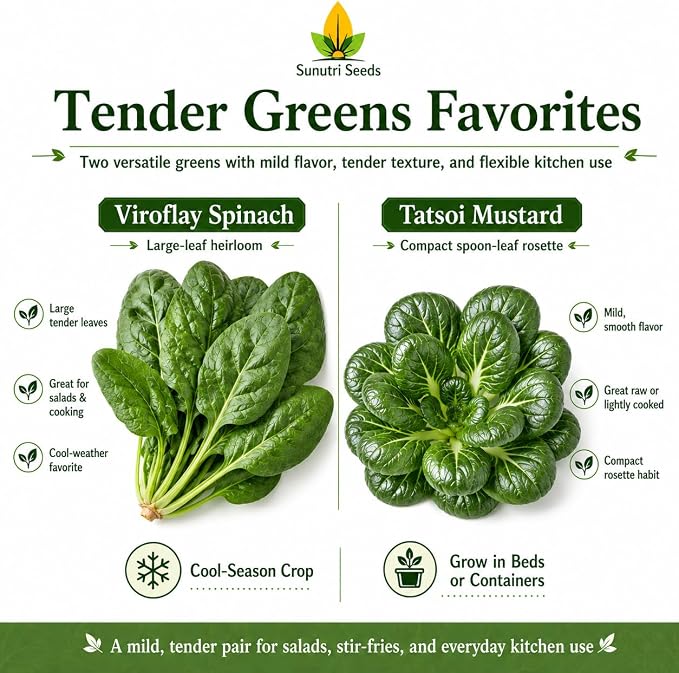 Salad Greens Variety Pack Seeds – 9 Heirloom Leafy Green Vegetable Seeds | Lettuce Kale Spinach Arugula Collards Beet Greens Mustard Cress for Raised Beds Containers Garden