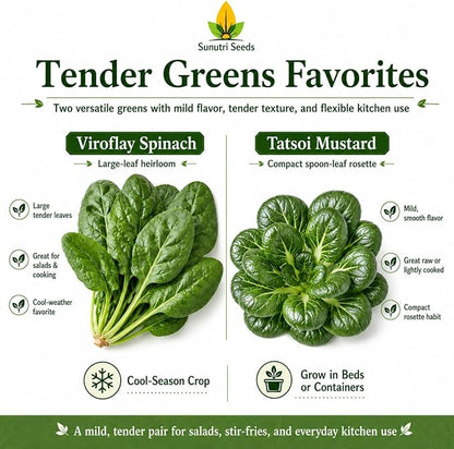 Salad Greens Variety Pack Seeds – 9 Heirloom Leafy Green Vegetable Seeds | Lettuce Kale Spinach Arugula Collards Beet Greens Mustard Cress for Raised Beds Containers Garden