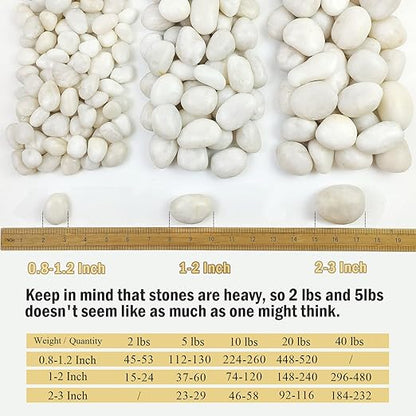 FANTIAN 10 lbs Large River Rocks for Landscaping, 2-3 Inch Polished White Pebbles for Plants, Decorative White Stones for Planters Vase Aquarium and Outdoor Garden Rocks