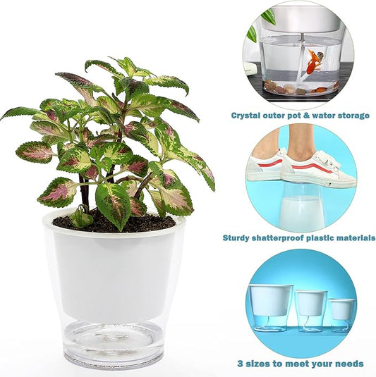 6-Pack 7 Inch Large Self-Watering Planters - Clear African Violet Pots, Plastic, Wick, Orchid Pots - Indoor Plants