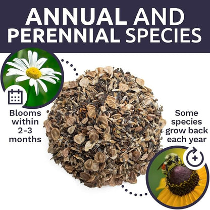 Drought Tolerant Wildflowers Mix – Bulk 5 Pounds – Over 600,000 Open Pollinated Non-GMO Seeds – 21 Different Dryland Species