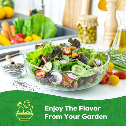 Heirloom Lettuce Seeds - 5 Varieties Lettuce Seeds for Planting - Black Seeded Simpson, Iceberg, Buttercrunch, Parris Island Cos & Lolla Rossa Lettuce - Home Garden & Hydroponic Seeds