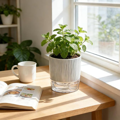 Self Watering Pots for Indoor Plants, 4 and 5.3 Inch, Plastic, Black Stripes, Round, Modern, Tabletop