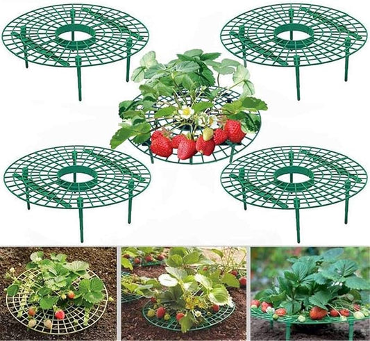 10 Pack Strawberry Supports Keeping Fruit Elevated & Balcony Planting Rack Fruit Support Plant Flower Climbing Vine Pillar Gardening Stand