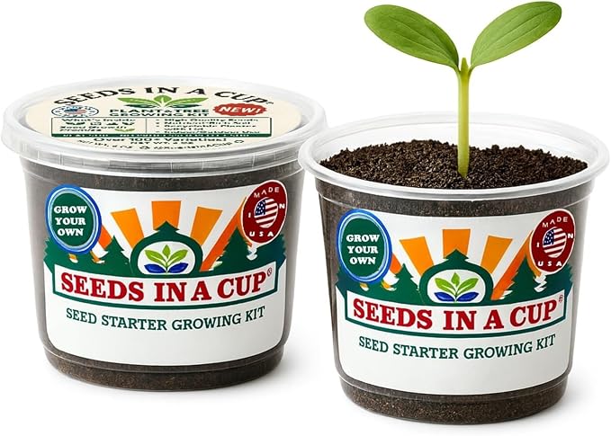 Dogwood Tree Seed Starter Grow Kit, Easy to use, Educational, Great Gift idea, Grow Your Own Tree, Huge Plant and Tree Selection to Choose from, Gift for Him