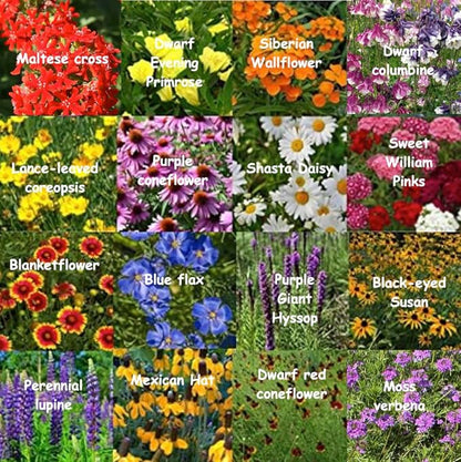 All Zones All Perennial Wildflower Heirloom Seed Mix | 1/4 lb Bulk Variety in Earth-Friendly Biodegradable Packaging - 500 SF Coverage (93,750 Seeds)