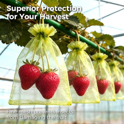 Sukh 100PCS Fruit Protection Bags - 4"x6" Fruit Cover for Fruit Tree Netting Fruit Nets to Protect Tomato Grape Mesh Fruit Organza Bags Green Net Produce Bag for Fruits & Vegetables Reusable