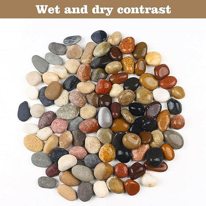 Decorative Natural River Rocks 20 LBS - 1-2 Inch Mexican Beach Pebbles for Landscaping, Garden, Walkways, Plant & Outdoor Decor