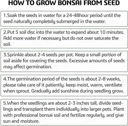Meekear 5 Bonsai Tree Kit Complete Plant Growing Tools, Grow in Pot Indoor Bonsai Tree Starter Kit, Great Home Gardening Potted Plants DIY Gift for Adults