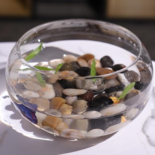 11LB Polished River Rocks for Plants with Mixed Colors 1/4-5/8Inch Decorative Natural River Stones Pebbles for Outdoor Small Stones Gravels for Home Decoration