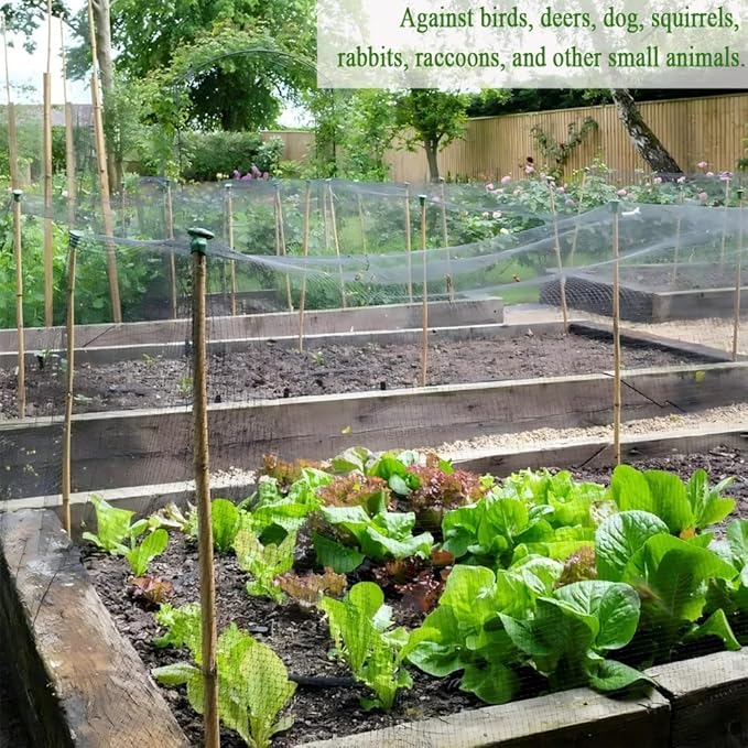 Bird Netting 15X40 FT, 1/2" Mesh, Strong Woven Garden Netting for Plants, Fruit Trees, Blueberry Bushes, Vegetables, Strawberry Protection, Against Bird, Deer, Squirres, Poultry, Small Animals