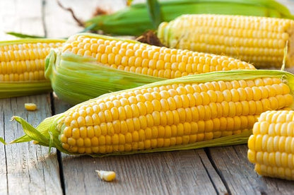 Seeds Sugar Corn Sweet Giant Heirloom Vegetable Non GMO for Planting