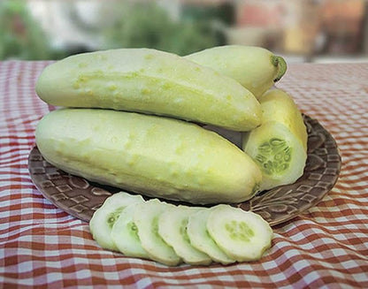 Seeds White Angel Cucumber Open-Pollinated Pickling Non GMO Vegetable for Planting