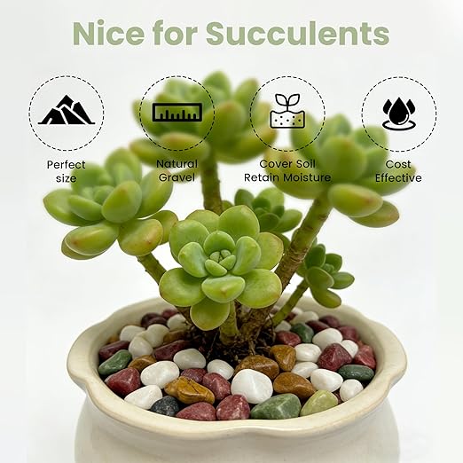 SIDONG 10 LB Natural Gravel Pebbles, 2/5 Inch Small Pea Gravel Stones, Decorative River Rocks for Succulents, Aquariums, Vases, Indoor Plants, Garden Landscaping, DIY
