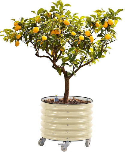 Rolling Metal Citrus Tree Planter, Self-Watering Round Planter Box for Porch Patio & Backyard, Raised Garden Bed with Wheels for Growing Trees Tomatoes Vegetables and Flowers, Single Pack-Pearl White