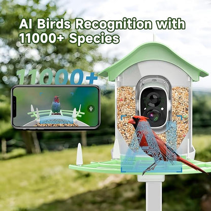 Smart Bird Feeder with Camera Solar Powered,AI Identify Species,2K HD Video Auto Capture Live for Outdoor Backyard,Ideal Gift for Family Bird Lovers (Green)
